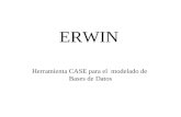 Manual de Erwin