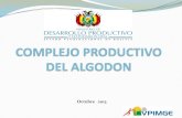 Estrategias Nacionales de desarrollo de la cadena del algodón en Bolivia.