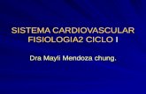 Cardiovascular  i
