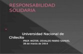 Responsabilidad Solidaria en UNDEC 2014 - Prof. Mario Samuel