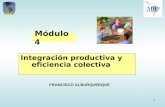 Módulo 4. Integración productiva y eficiencia colectiva