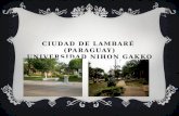 Lambaré (paraguay)