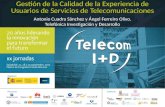 Gestion calidad experiencia_usuarios_servicios_telecomunicaciones
