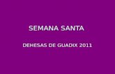 Semana Santa Dehesas de Guadix 2011. Viernes Santo