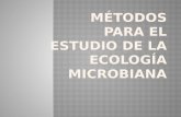 métodos para el estudio de la ecología microbiana