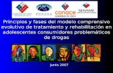 Principios y fases del modelo comprensivo evolutivo de tratamiento y rehabilitación en adolescentes consumidores problemáticos de drogas