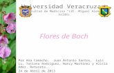 "Flores de Bach"
