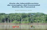087.Guia Manglares HBP Tribaldos_A_Panama