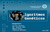 Presentacion Algortimos Geneticos