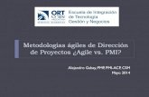 Metodologias agiles de gestion de proyecto. ORT 14.05.2014