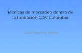 Técnicas de mercadeo dentro de la fundación CISV Colombia