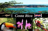 15 De Setiembre Independencia De Costa Rica