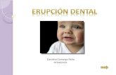 Erupcion dental cto y dllo3
