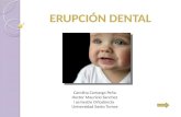 Erupcion dental cto y dllo2