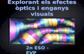 Llenguatge Visual i plàstic a 2n d'ESO