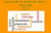 Regulación da expresión Xénica e Mutacións