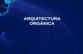 Arquitectura orgánica