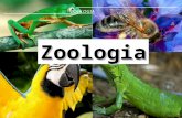 Zoologia  pronto tassi e paula