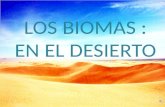 Biomas en el desierto