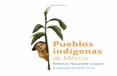 Pueblos Indigenas Mexico
