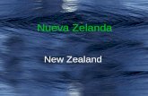 Nueva Zelanda / New Zealand