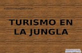 Francisco rangel escobar turismo en la_jungla-8414