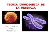 Clase 2 teoria cromosomica de la herencia