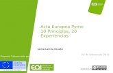 Estudio EOI. Acta Europea PYME