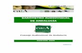 Informe Ejecutivo Consejo Audiovisual