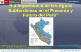 La importancia de las aguas subterráneas en el presente y futuro del Perú