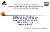 Mortalidad Salud Reproductiva 2002 Socorro