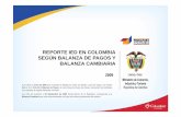 Reporte IED en Colombia según Balanza de Pagos y Balanza Cambiaria – 2009