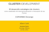 Cluster development coparmex durango