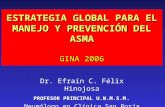 Guías manejo y prevencion del asma lobitoferoz13