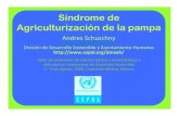 Sindrome Agriculturizacion Pampa