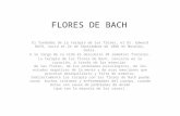 Flores De Bach ely