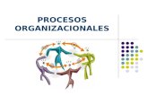 5 procesos organizacionales