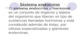 Sistema endocrino (Hormonas)