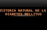 Historia natural de la diabetes