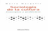 Margulis Mario Sociologia de La Cultura