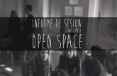 Informe de sesión Open Space. Plataforma de Voluntariado de Cáceres Proyecto ACVDO