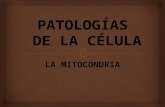 Patologías De La Celula- La Mitocondria-Enfermedades Mitocondriales