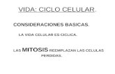 Patología del Cancer Dr. Miguel Melivilu