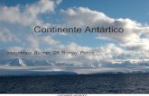Continente antártico  (1)
