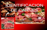 Identificacion de carnes