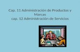 Administración de Productos y Marcas; Administración de Servicios