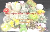Tour Operador Johnny Cactus