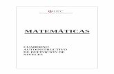17232344 manual-de-matematica