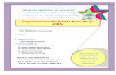 Monografia de La Oraganizacion de Rapido Aprendizaje (ORA)
