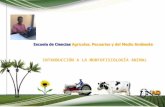 201106 Introduccion a La Morfofisiologia Animal